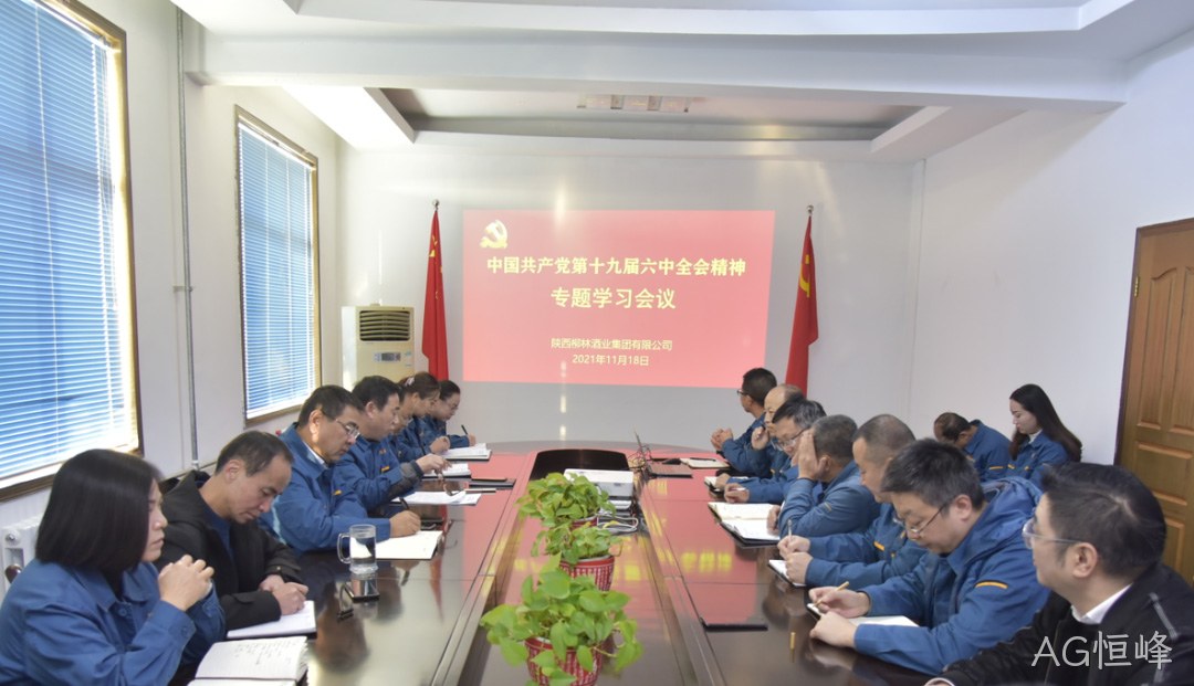 不忘初心跟党走 | AG恒峰学习贯彻党的十九届六中全会精神